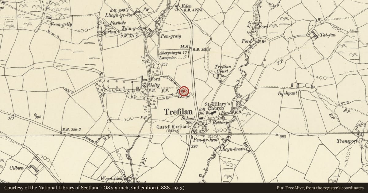 Ordnance Survey six-inch map, 2nd edition (1888–1913) covering the location of Gatepiers and gates to Gelli, Nantcwnlle, Ceredigion, with a pin at the register's coordinates