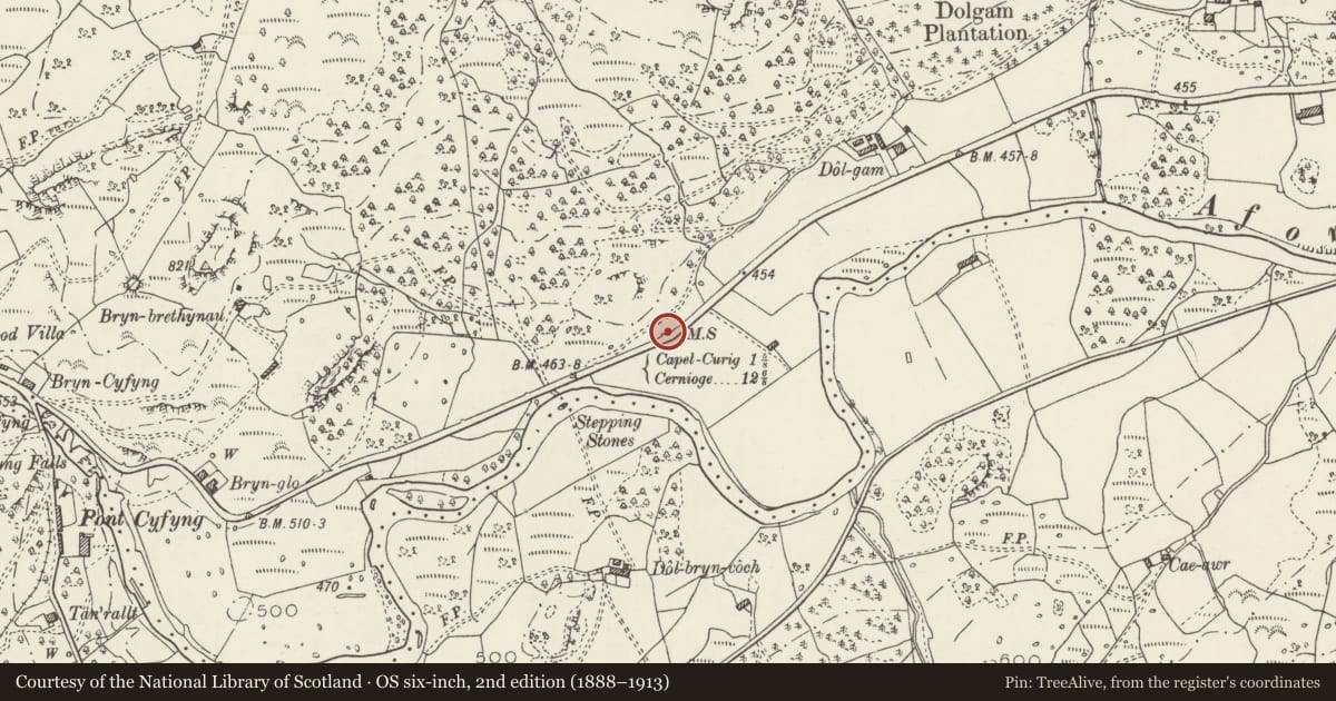 Ordnance Survey six-inch map, 2nd edition (1888–1913) covering the location of Telford Milestone (41), Capel Curig, Conwy, with a pin at the register's coordinates
