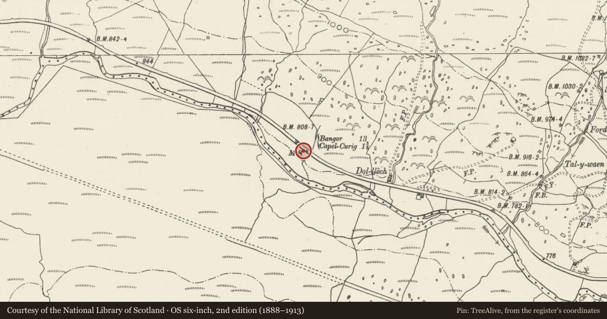 Ordnance Survey six-inch map, 2nd edition (1888–1913) covering the location of Telford Milestone (38), Capel Curig, Conwy, with a pin at the register's coordinates