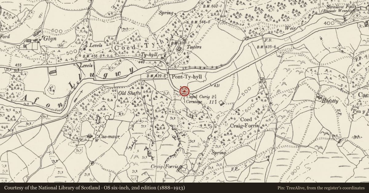 Ordnance Survey six-inch map, 2nd edition (1888–1913) covering the location of Telford Milestone (42), Capel Curig, Conwy, with a pin at the register's coordinates
