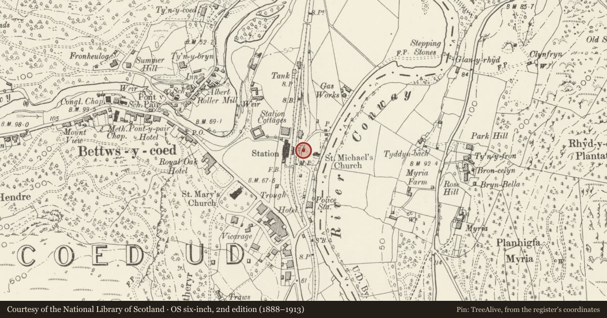 Ordnance Survey six-inch map, 2nd edition (1888–1913) covering the location of Lychgate to W of St. Michael's Church, Betws-y-Coed, Conwy, with a pin at the register's coordinates