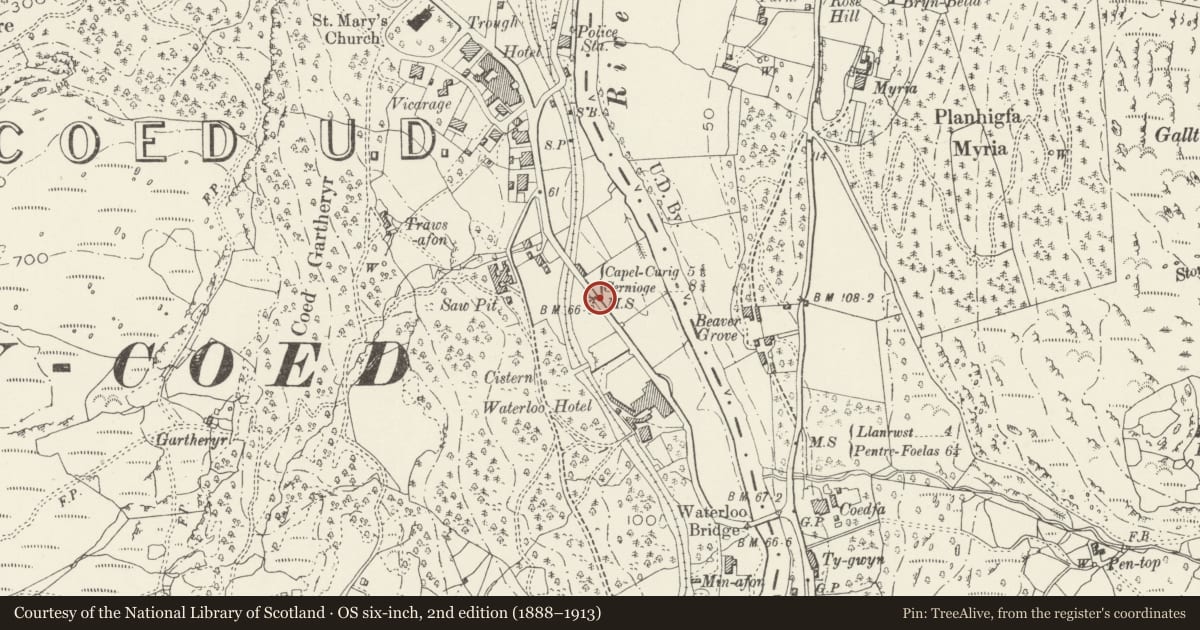 Ordnance Survey six-inch map, 2nd edition (1888–1913) covering the location of Telford Milestone (45), Betws-y-Coed, Conwy, with a pin at the register's coordinates