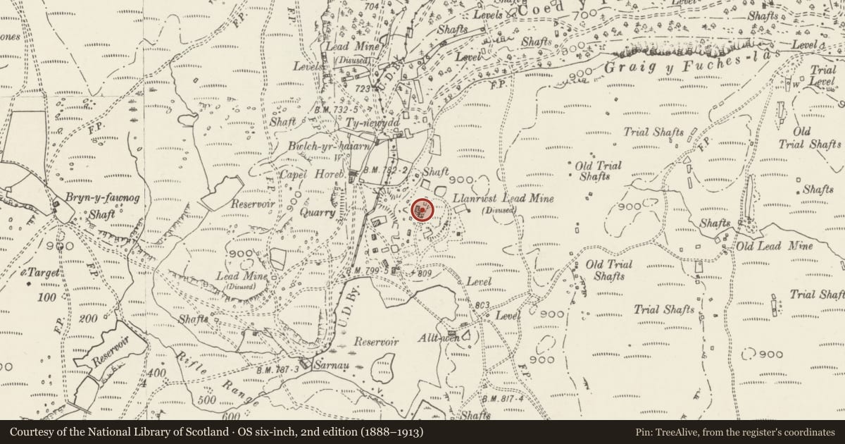 Ordnance Survey six-inch map, 2nd edition (1888–1913) covering the location of Chimney, Betws-y-Coed, Conwy, with a pin at the register's coordinates