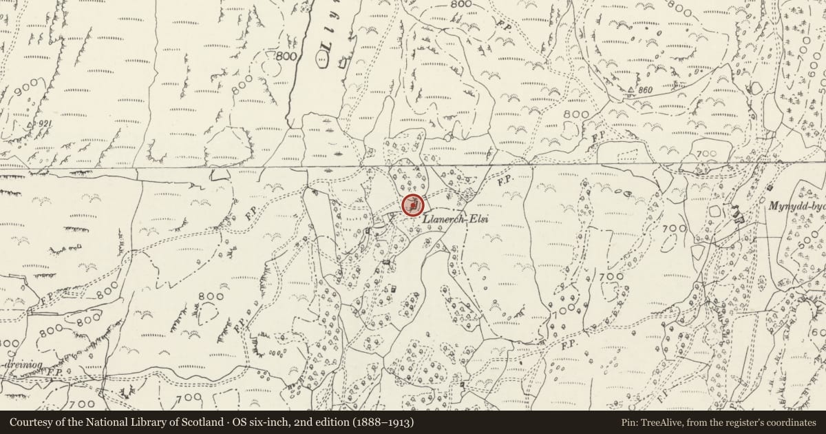 Ordnance Survey six-inch map, 2nd edition (1888–1913) covering the location of Llanerch Elsi, Betws-y-Coed, Conwy, with a pin at the register's coordinates