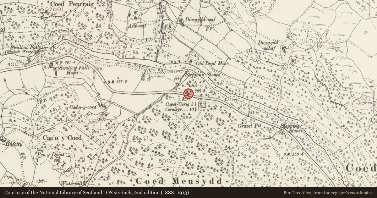 Ordnance Survey six-inch map, 2nd edition (1888–1913) covering the location of Telford Milestone (43), Betws-y-Coed, Conwy, with a pin at the register's coordinates