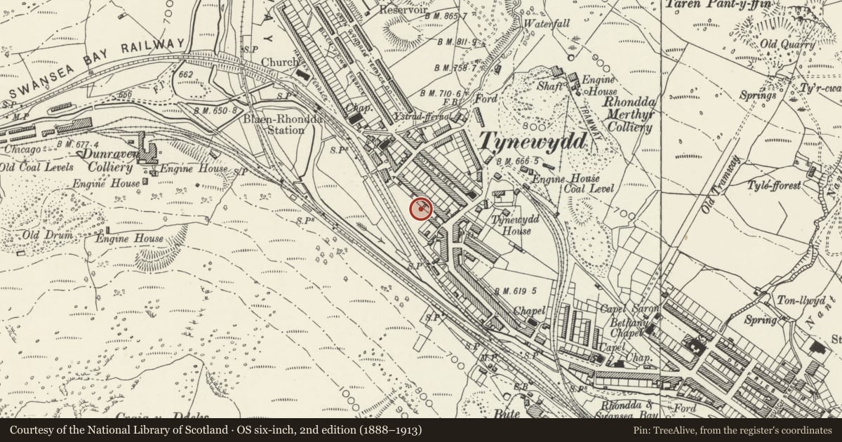 Ordnance Survey six-inch map, 2nd edition (1888–1913) covering the location of No. 50, including T.I.Griffiths Grocery, Treherbert, Rhondda Cynon Taff, with a pin at the register's coordinates