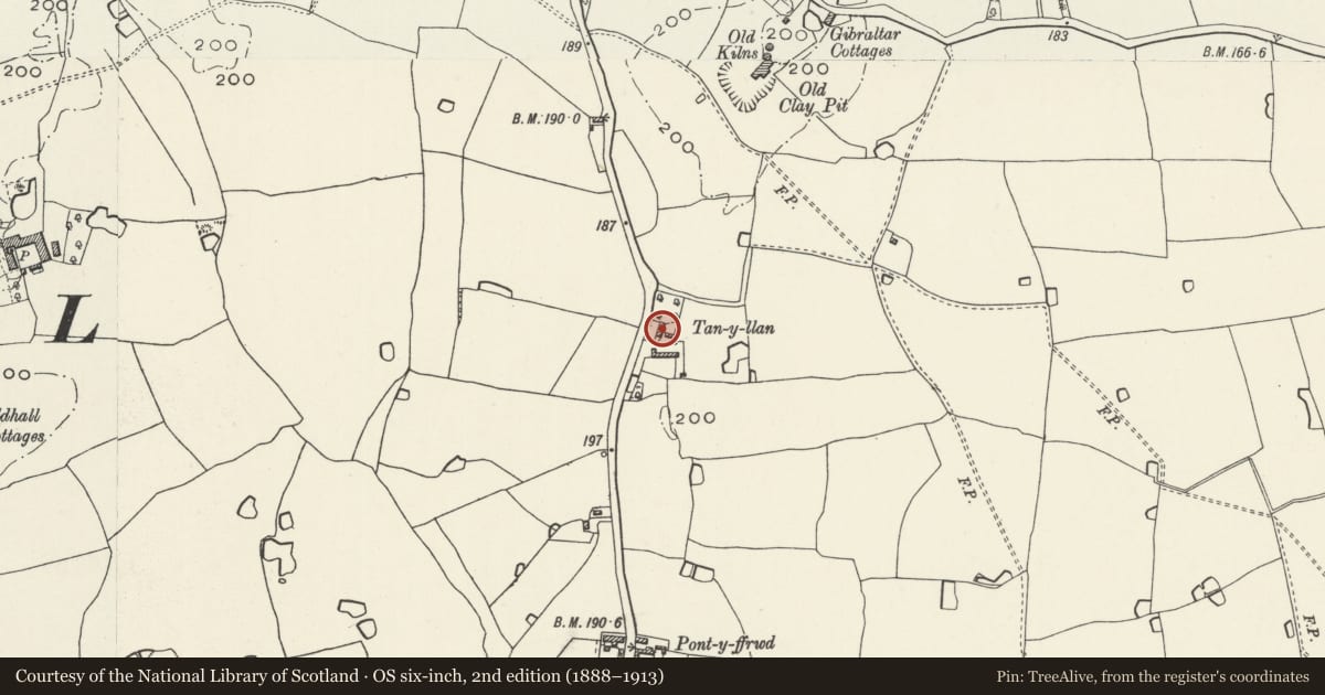 Ordnance Survey six-inch map, 2nd edition (1888–1913) covering the location of Ivydale, Marchwiel, Wrexham, with a pin at the register's coordinates