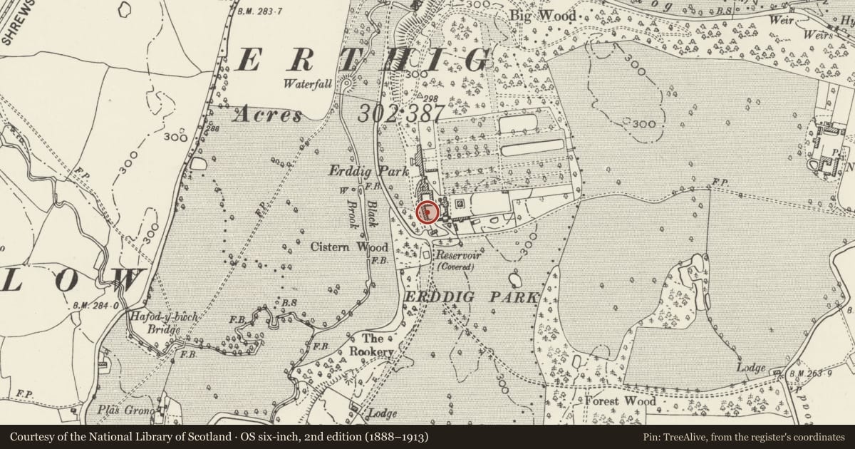 Ordnance Survey six-inch map, 2nd edition (1888–1913) covering the location of Former Haybarn to Outer Yard, Marchwiel, Wrexham, with a pin at the register's coordinates