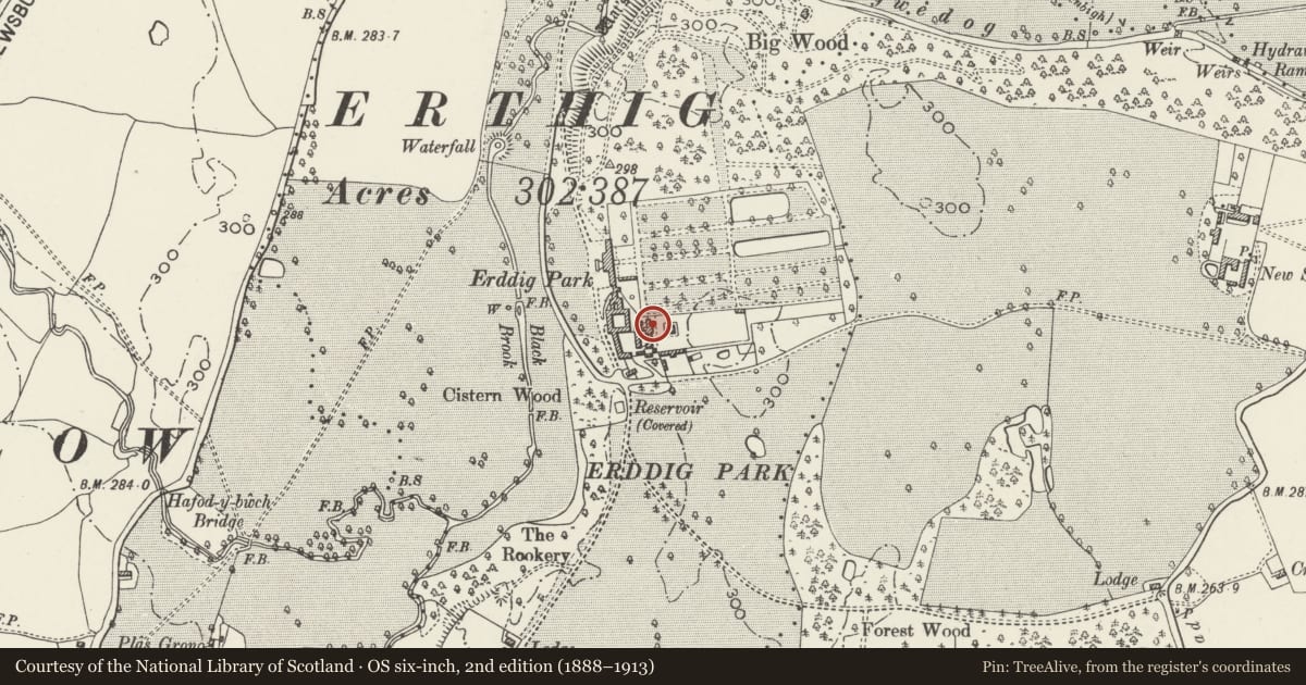 Ordnance Survey six-inch map, 2nd edition (1888–1913) covering the location of Gardener's House including Bothies, walls and shed to W, Marchwiel, Wrexham, with a pin at the register's coordinates