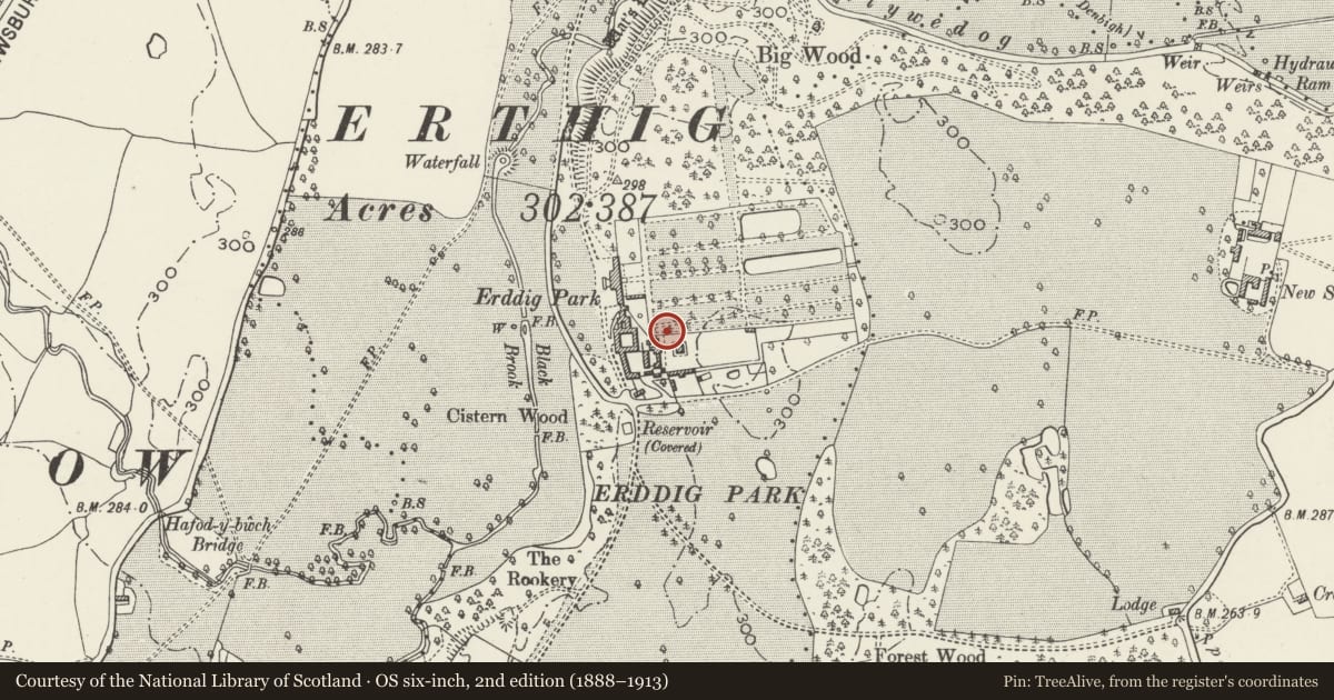 Ordnance Survey six-inch map, 2nd edition (1888–1913) covering the location of Garden walls to S side of formal garden including gate piers, gates and alcove, Marchwiel, Wrexham, with a pin at the register's coordinates