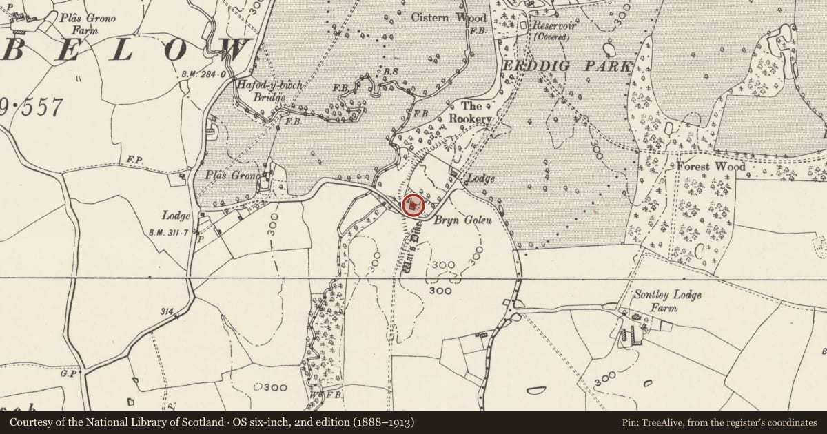 Ordnance Survey six-inch map, 2nd edition (1888–1913) covering the location of Bryn Goleu, Marchwiel, Wrexham, with a pin at the register's coordinates
