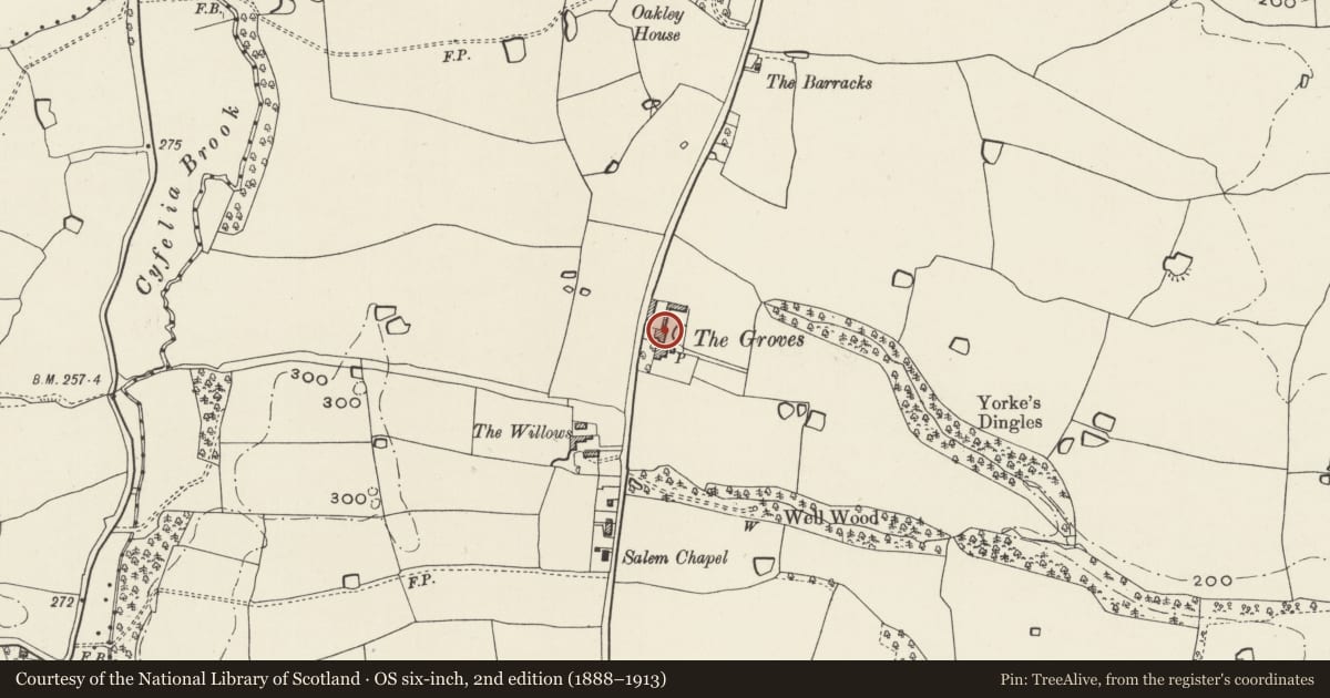Ordnance Survey six-inch map, 2nd edition (1888–1913) covering the location of Former House at The Groves, Marchwiel, Wrexham, with a pin at the register's coordinates