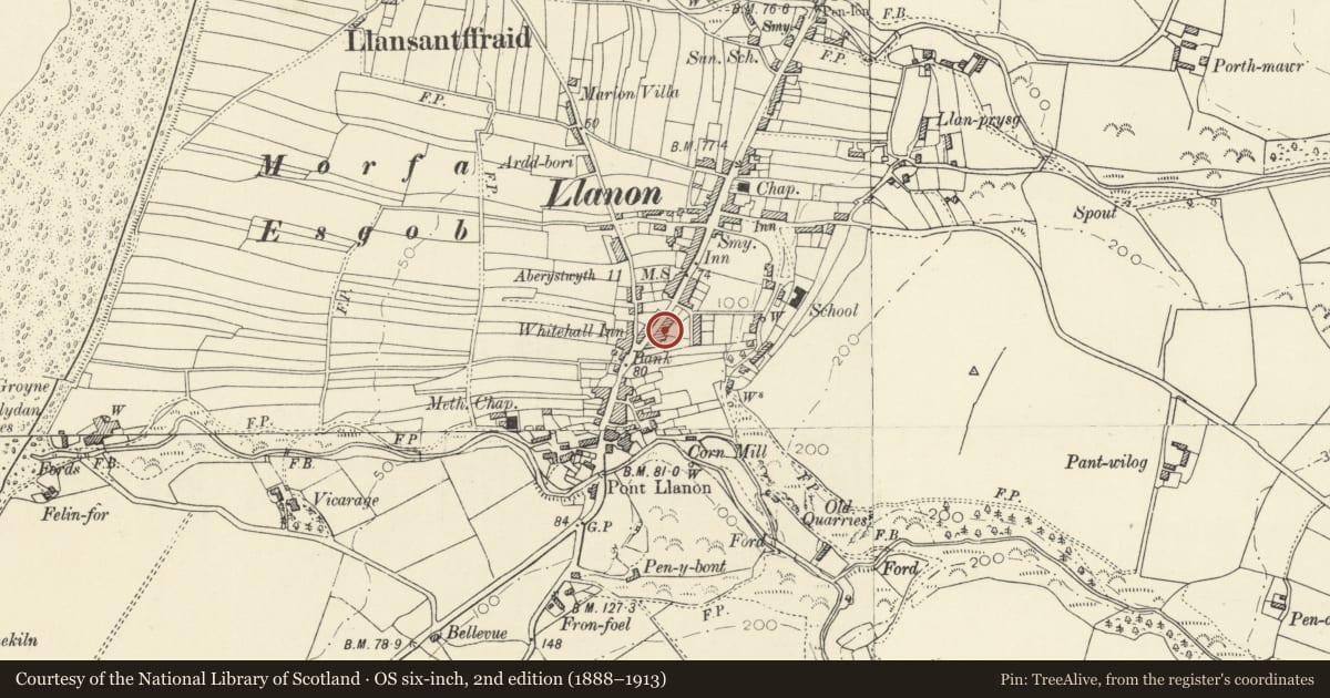 Ordnance Survey six-inch map, 2nd edition (1888–1913) covering the location of Rhiwlas, Llansantffraed, Ceredigion, with a pin at the register's coordinates
