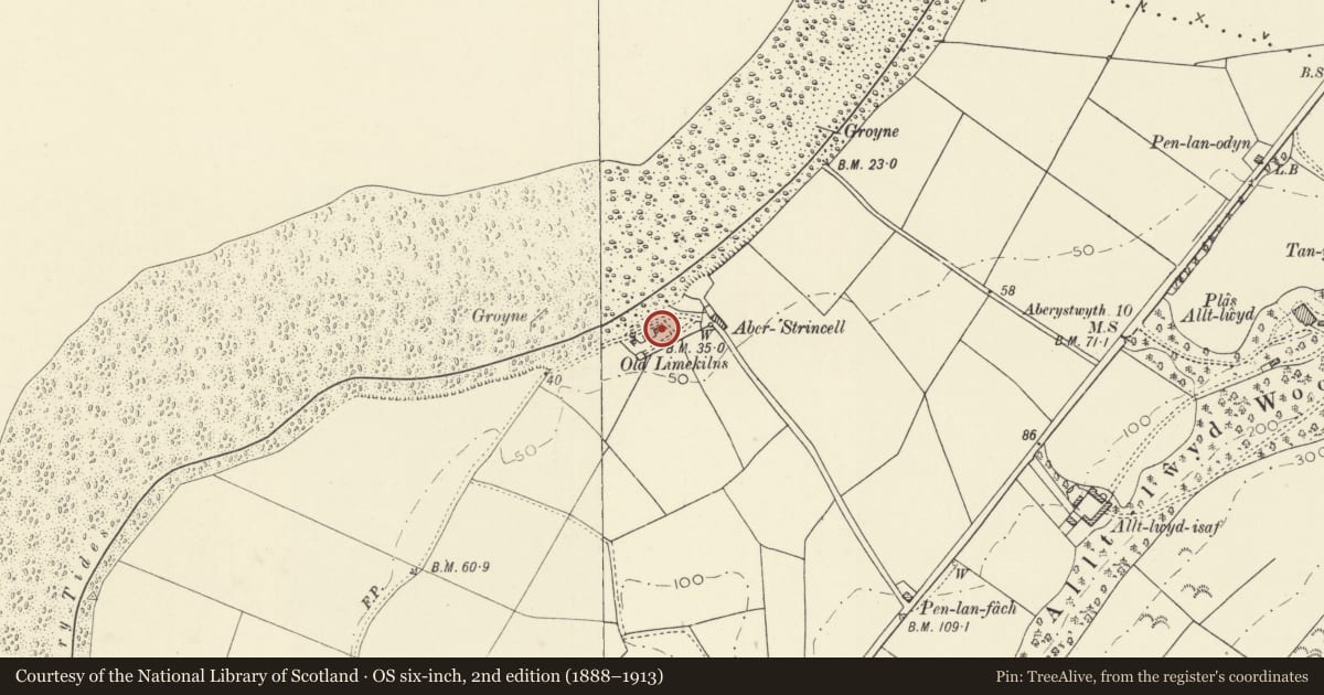 Ordnance Survey six-inch map, 2nd edition (1888–1913) covering the location of No 4 Craiglas Lime Kiln, Llansantffraed, Ceredigion, with a pin at the register's coordinates