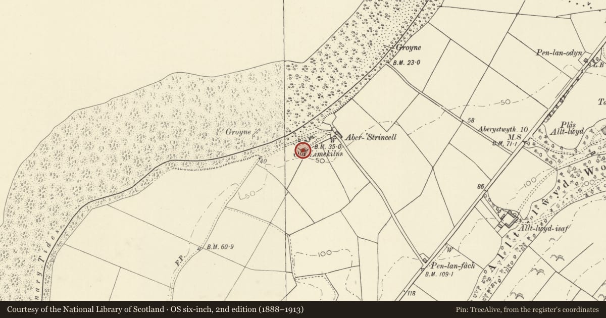 Ordnance Survey six-inch map, 2nd edition (1888–1913) covering the location of Walled Enclosure at Craiglas Lime Kilns, Llansantffraed, Ceredigion, with a pin at the register's coordinates