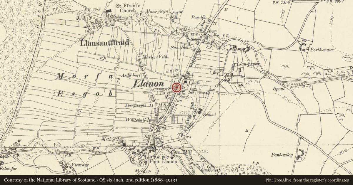 Ordnance Survey six-inch map, 2nd edition (1888–1913) covering the location of Ardwyn, Llansantffraed, Ceredigion, with a pin at the register's coordinates
