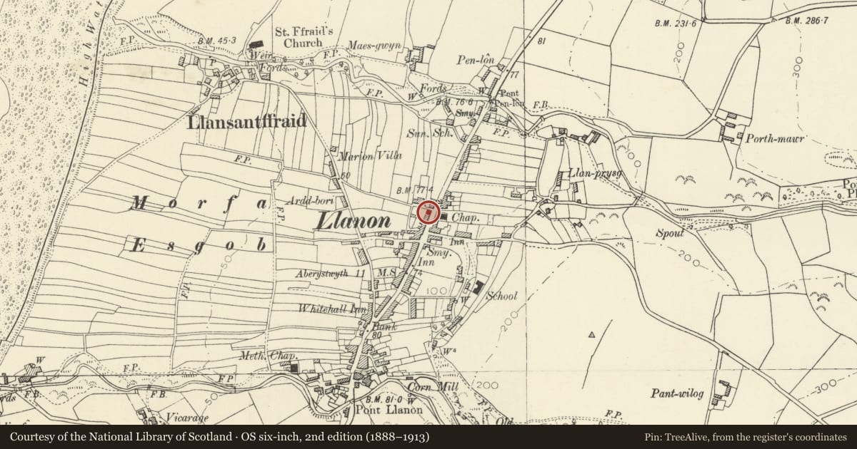 Ordnance Survey six-inch map, 2nd edition (1888–1913) covering the location of Bramley, Llansantffraed, Ceredigion, with a pin at the register's coordinates