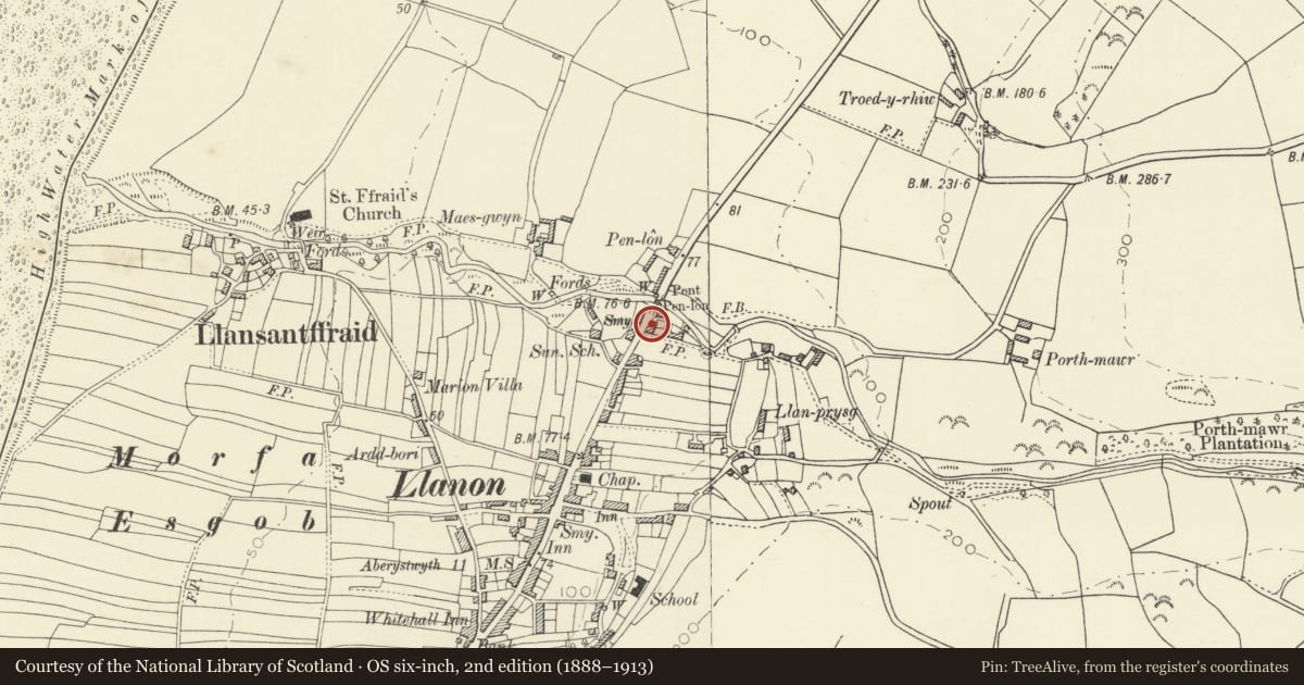 Ordnance Survey six-inch map, 2nd edition (1888–1913) covering the location of Glandwr, Llansantffraed, Ceredigion, with a pin at the register's coordinates