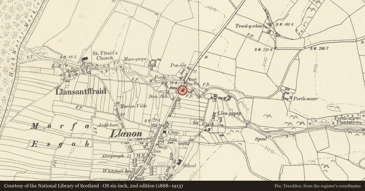 Ordnance Survey six-inch map, 2nd edition (1888–1913) covering the location of Werndeg, Llansantffraed, Ceredigion, with a pin at the register's coordinates