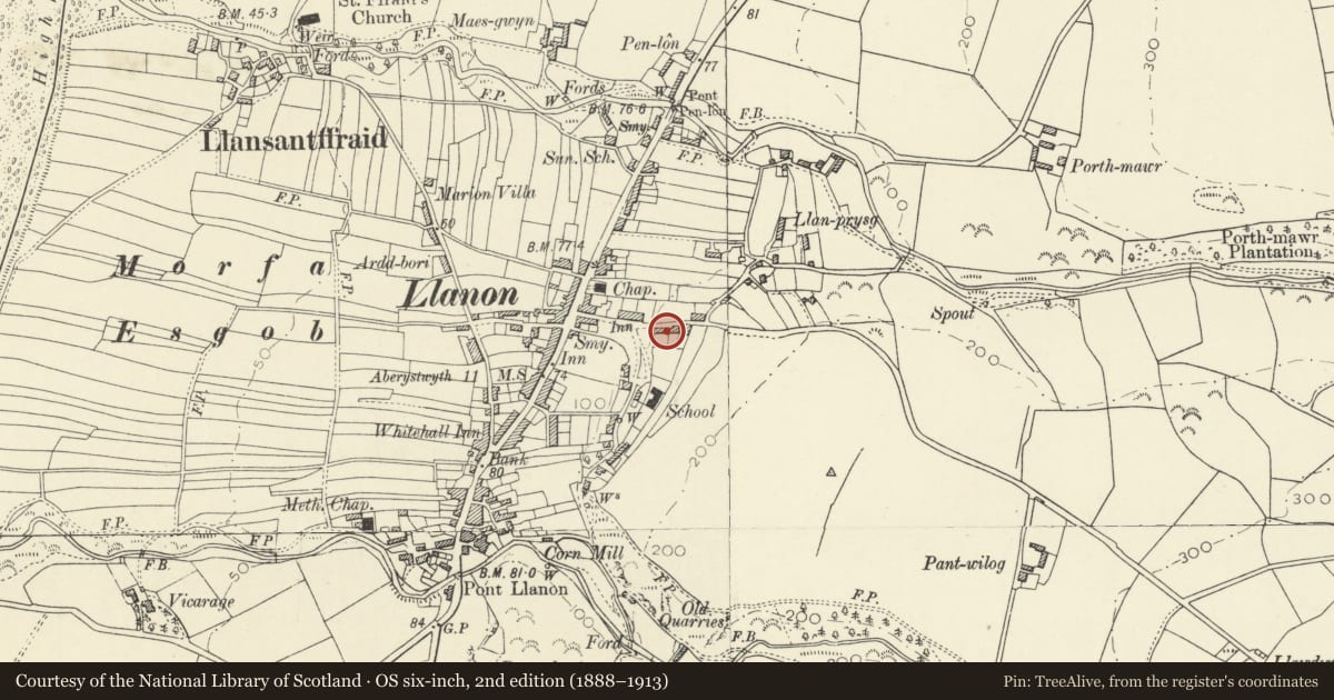 Ordnance Survey six-inch map, 2nd edition (1888–1913) covering the location of Rose Villa, Llansantffraed, Ceredigion, with a pin at the register's coordinates