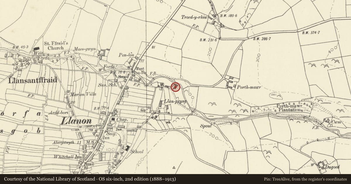 Ordnance Survey six-inch map, 2nd edition (1888–1913) covering the location of Cwrt, Llansantffraed, Ceredigion, with a pin at the register's coordinates