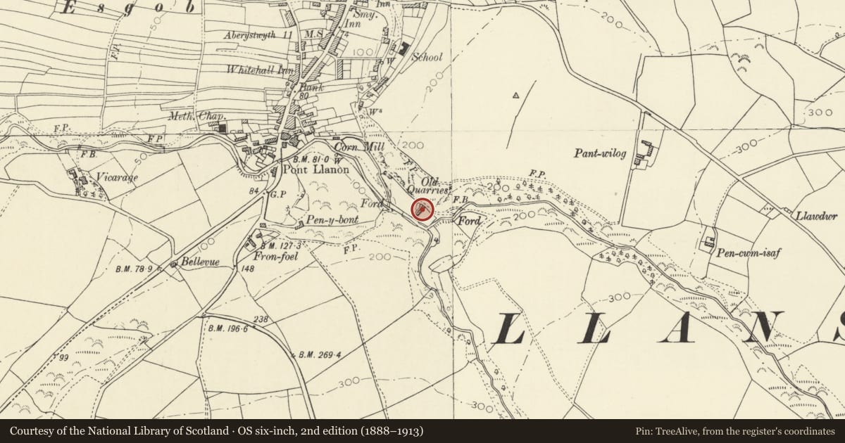 Ordnance Survey six-inch map, 2nd edition (1888–1913) covering the location of Ty'n Cwm, Llansantffraed, Ceredigion, with a pin at the register's coordinates