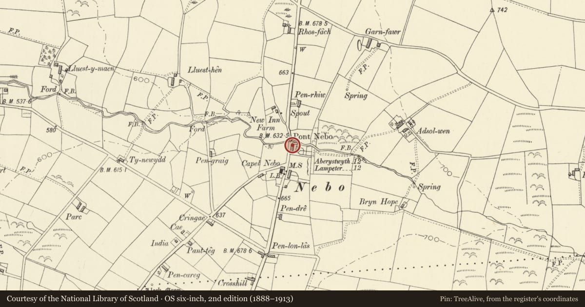 Ordnance Survey six-inch map, 2nd edition (1888–1913) covering the location of Y Bwythyn, Llansantffraed, Ceredigion, with a pin at the register's coordinates