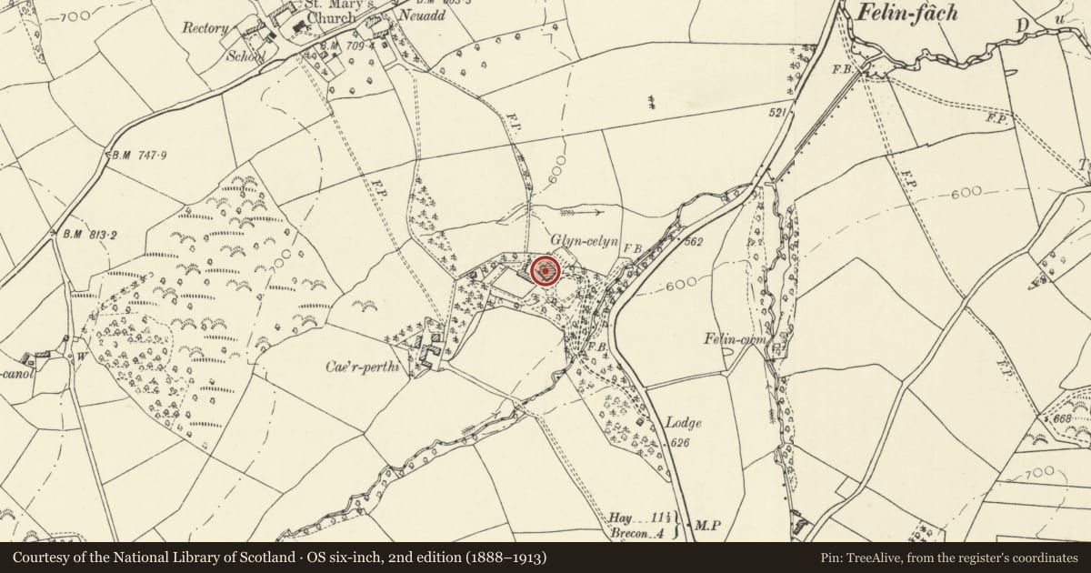 Ordnance Survey six-inch map, 2nd edition (1888–1913) covering the location of Glyn Celyn, Felin-Fach, Powys, with a pin at the register's coordinates