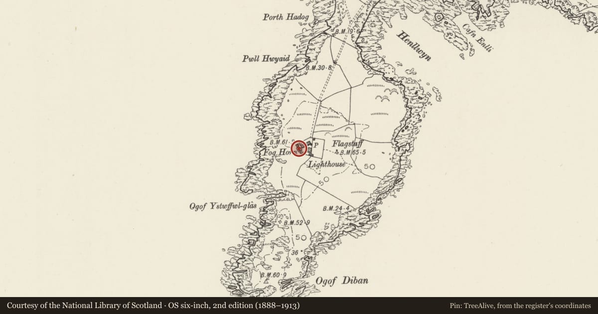 Ordnance Survey six-inch map, 2nd edition (1888–1913) covering the location of Former Engine House and Fog Station at Bardsey Lighthouse, Aberdaron, Gwynedd, with a pin at the register's coordinates
