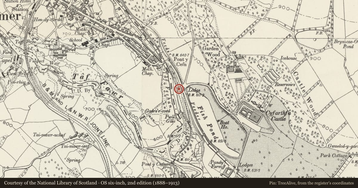 Ordnance Survey six-inch map, 2nd edition (1888–1913) covering the location of Limekilns south of Cefn Bridge, Park, Merthyr Tydfil, with a pin at the register's coordinates