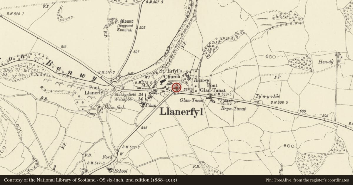 Ordnance Survey six-inch map, 2nd edition (1888–1913) covering the location of Caerfynnon, Llanerfyl, Powys, with a pin at the register's coordinates