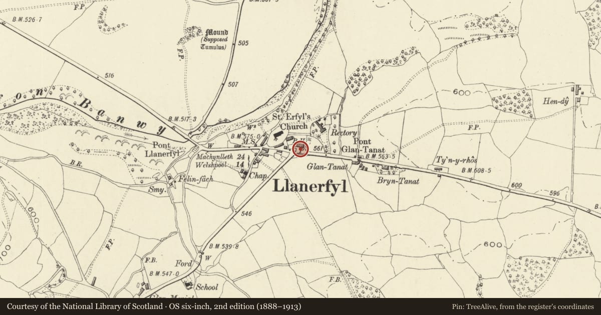 Ordnance Survey six-inch map, 2nd edition (1888–1913) covering the location of Railings and Gates to Caerfynnon, Llanerfyl, Powys, with a pin at the register's coordinates