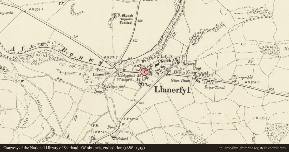 Ordnance Survey six-inch map, 2nd edition (1888–1913) covering the location of Milestone, Llanerfyl, Powys, with a pin at the register's coordinates