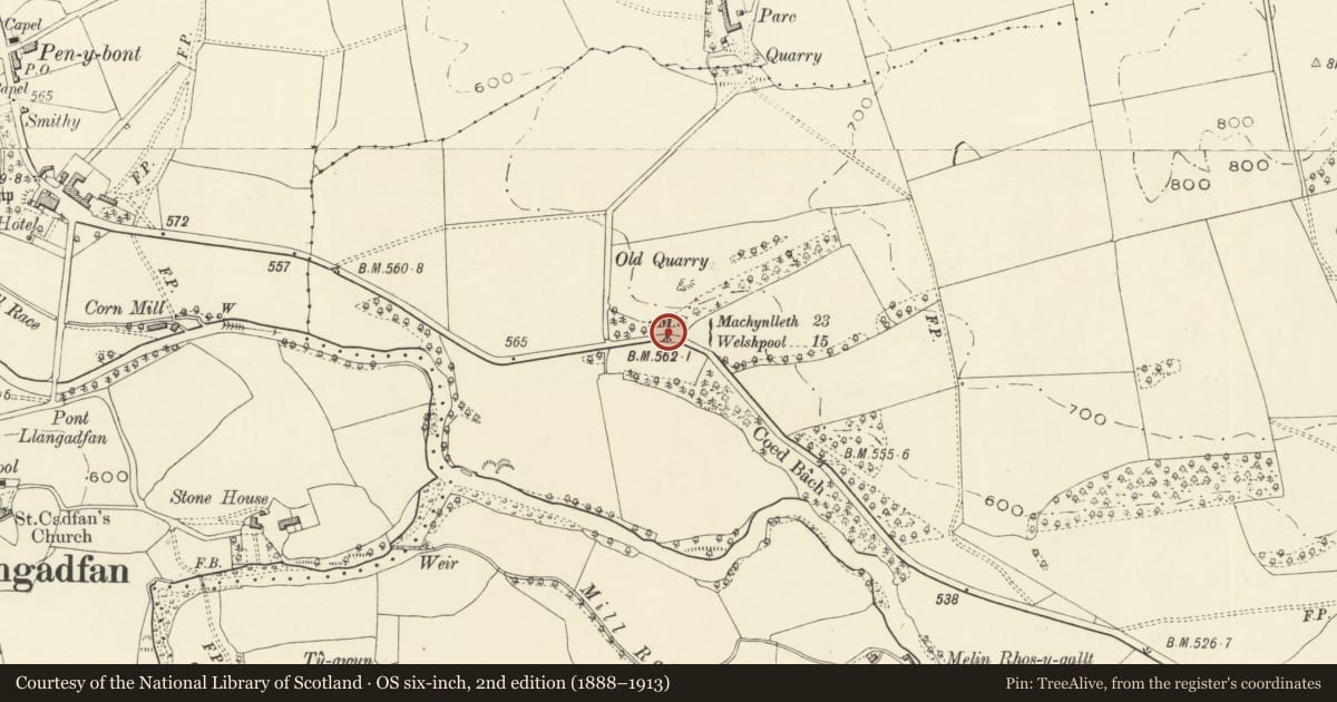 Ordnance Survey six-inch map, 2nd edition (1888–1913) covering the location of Milestone, Llanerfyl, Powys, with a pin at the register's coordinates
