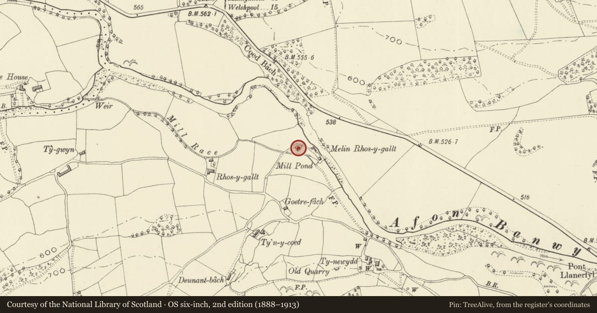 Ordnance Survey six-inch map, 2nd edition (1888–1913) covering the location of The Miller's Cottage, Llanerfyl, Powys, with a pin at the register's coordinates