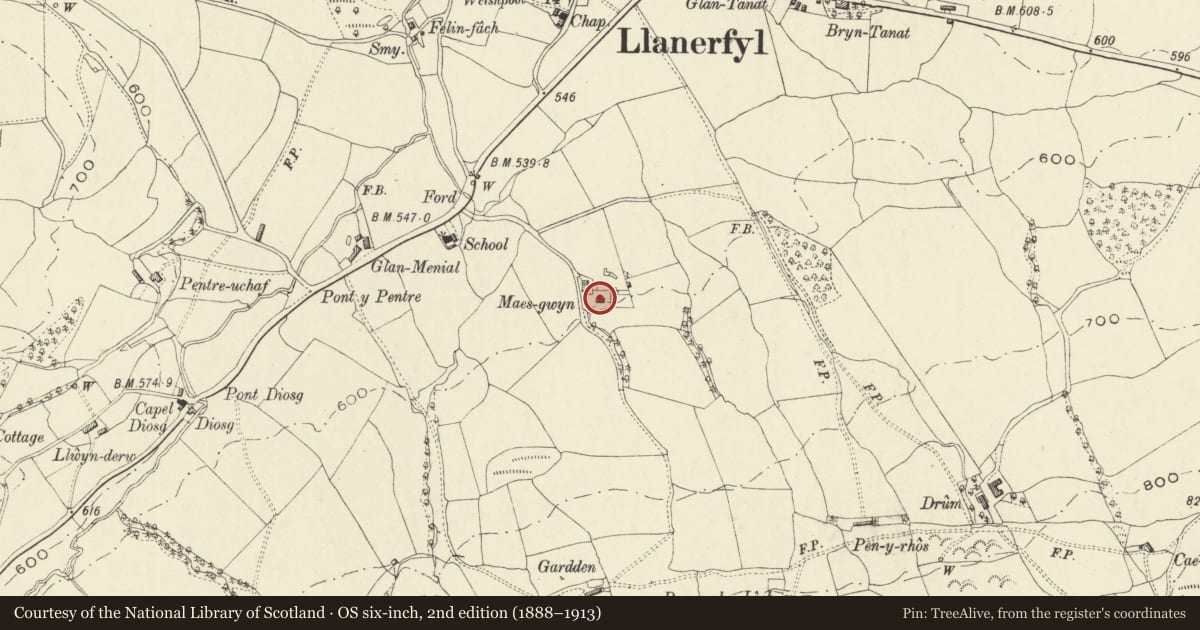 Ordnance Survey six-inch map, 2nd edition (1888–1913) covering the location of Maes-gwyn, Llanerfyl, Powys, with a pin at the register's coordinates
