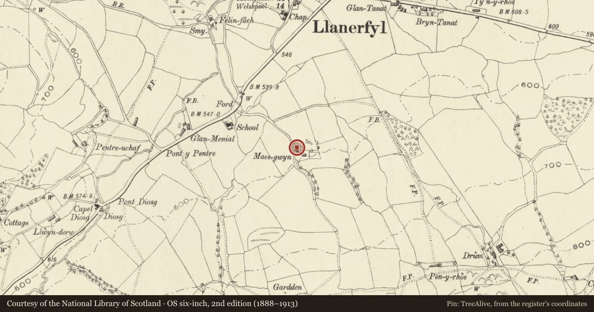 Ordnance Survey six-inch map, 2nd edition (1888–1913) covering the location of Cowhouse and Stable at Maes-gwyn, Llanerfyl, Powys, with a pin at the register's coordinates