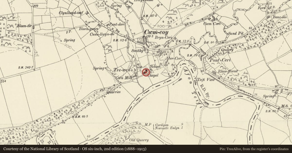 Ordnance Survey six-inch map, 2nd edition (1888–1913) covering the location of Capel y Drewen including Vestry Railings, Beulah, Ceredigion, with a pin at the register's coordinates
