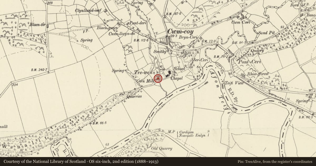 Ordnance Survey six-inch map, 2nd edition (1888–1913) covering the location of Trewen Mill/Felin Drewen, Beulah, Ceredigion, with a pin at the register's coordinates