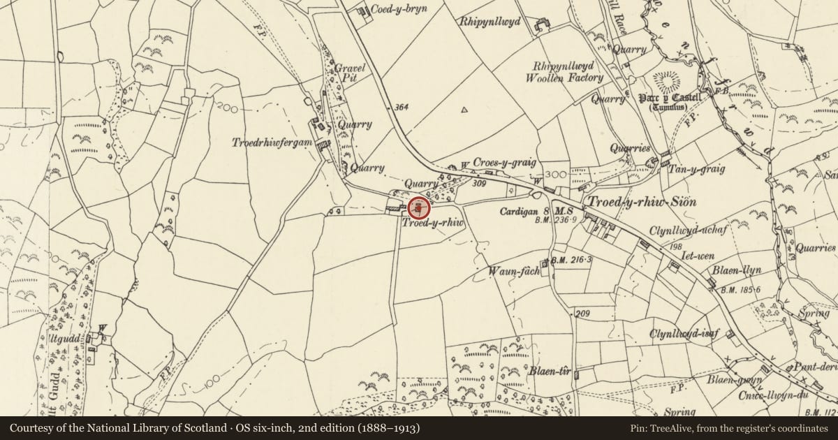 Ordnance Survey six-inch map, 2nd edition (1888–1913) covering the location of Troedyrhiw, Beulah, Ceredigion, with a pin at the register's coordinates