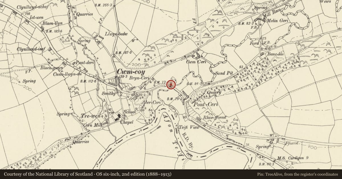 Ordnance Survey six-inch map, 2nd edition (1888–1913) covering the location of Pont Ceri ( partly in Llandyfriog Community), Beulah, Ceredigion, with a pin at the register's coordinates