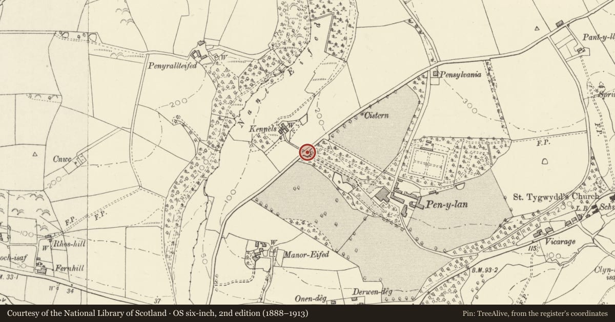 Ordnance Survey six-inch map, 2nd edition (1888–1913) covering the location of Gates and Railings to Penylan, Beulah, Ceredigion, with a pin at the register's coordinates