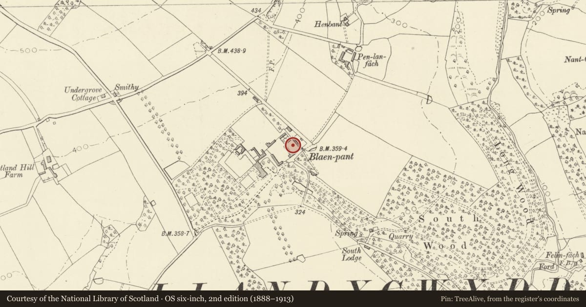 Ordnance Survey six-inch map, 2nd edition (1888–1913) covering the location of Farm-Court at Blaenpant Farm, Beulah, Ceredigion, with a pin at the register's coordinates