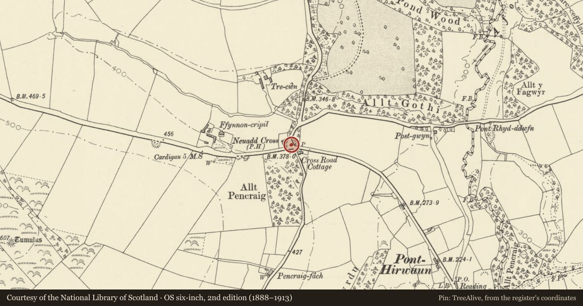 Ordnance Survey six-inch map, 2nd edition (1888–1913) covering the location of War Memorial, Beulah, Ceredigion, with a pin at the register's coordinates