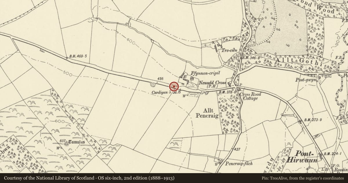 Ordnance Survey six-inch map, 2nd edition (1888–1913) covering the location of Milestone on B4570 W of Neuadd Cross, Beulah, Ceredigion, with a pin at the register's coordinates