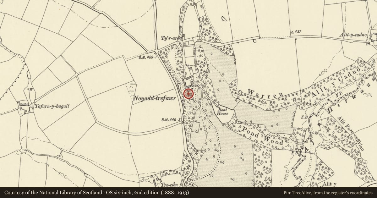 Ordnance Survey six-inch map, 2nd edition (1888–1913) covering the location of Tenants Cottage, W side of S Court Noyadd Trefawr, Beulah, Ceredigion, with a pin at the register's coordinates