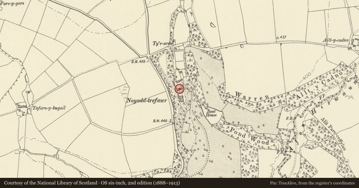 Ordnance Survey six-inch map, 2nd edition (1888–1913) covering the location of Coach-House and Bellcote Range between second and third Courts at Noyadd Trefawr, Beulah, Ceredigion, with a pin at the register's coordinates