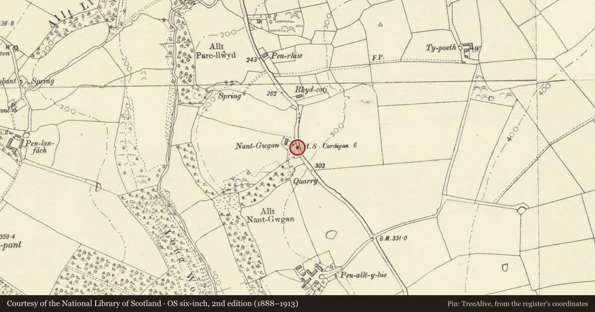 Ordnance Survey six-inch map, 2nd edition (1888–1913) covering the location of Milestone on B4750 S of Ponthirwaun, Beulah, Ceredigion, with a pin at the register's coordinates
