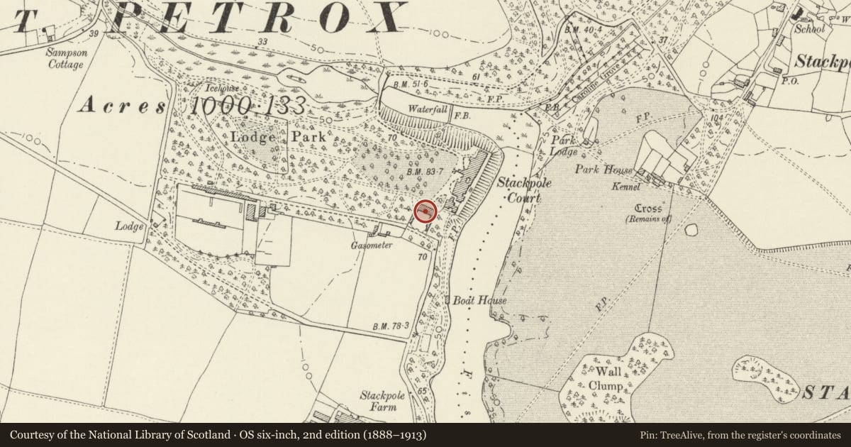 Ordnance Survey six-inch map, 2nd edition (1888–1913) covering the location of Courtyard Flats, Stackpole and Castlemartin, Pembrokeshire, with a pin at the register's coordinates