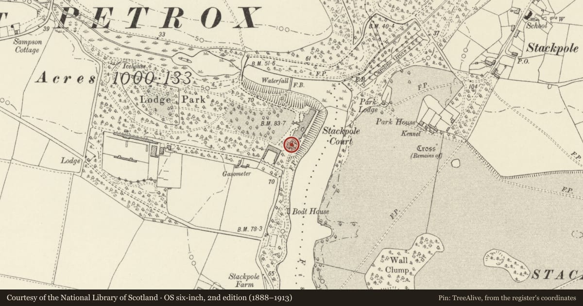 Ordnance Survey six-inch map, 2nd edition (1888–1913) covering the location of Game Larder, Stackpole and Castlemartin, Pembrokeshire, with a pin at the register's coordinates